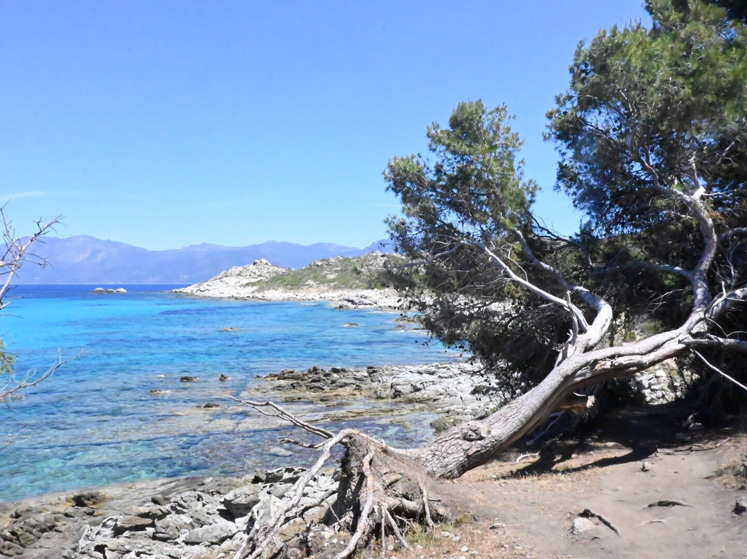 Saleccia Off Road-Saint Florent必去景点