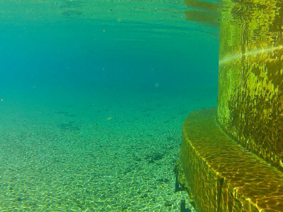 Salt Springs Recreation Area-Salt Springs必去景点
