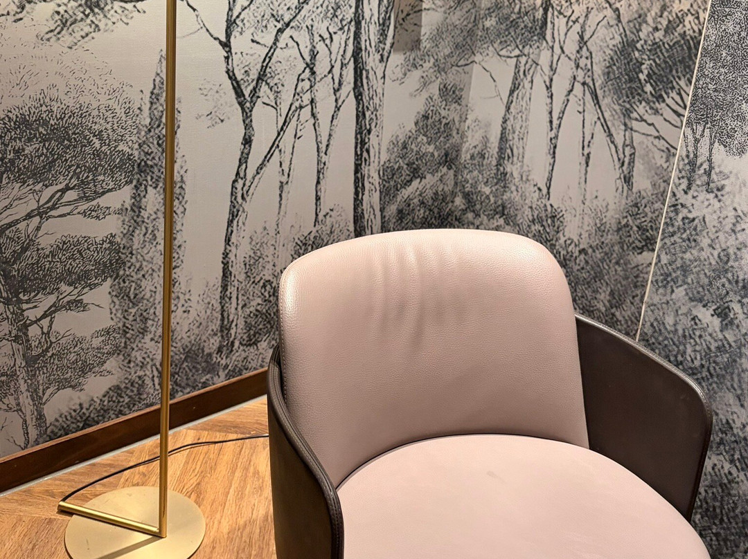 Aspire Lounge at Zurich Airport-奥普菲孔必去景点