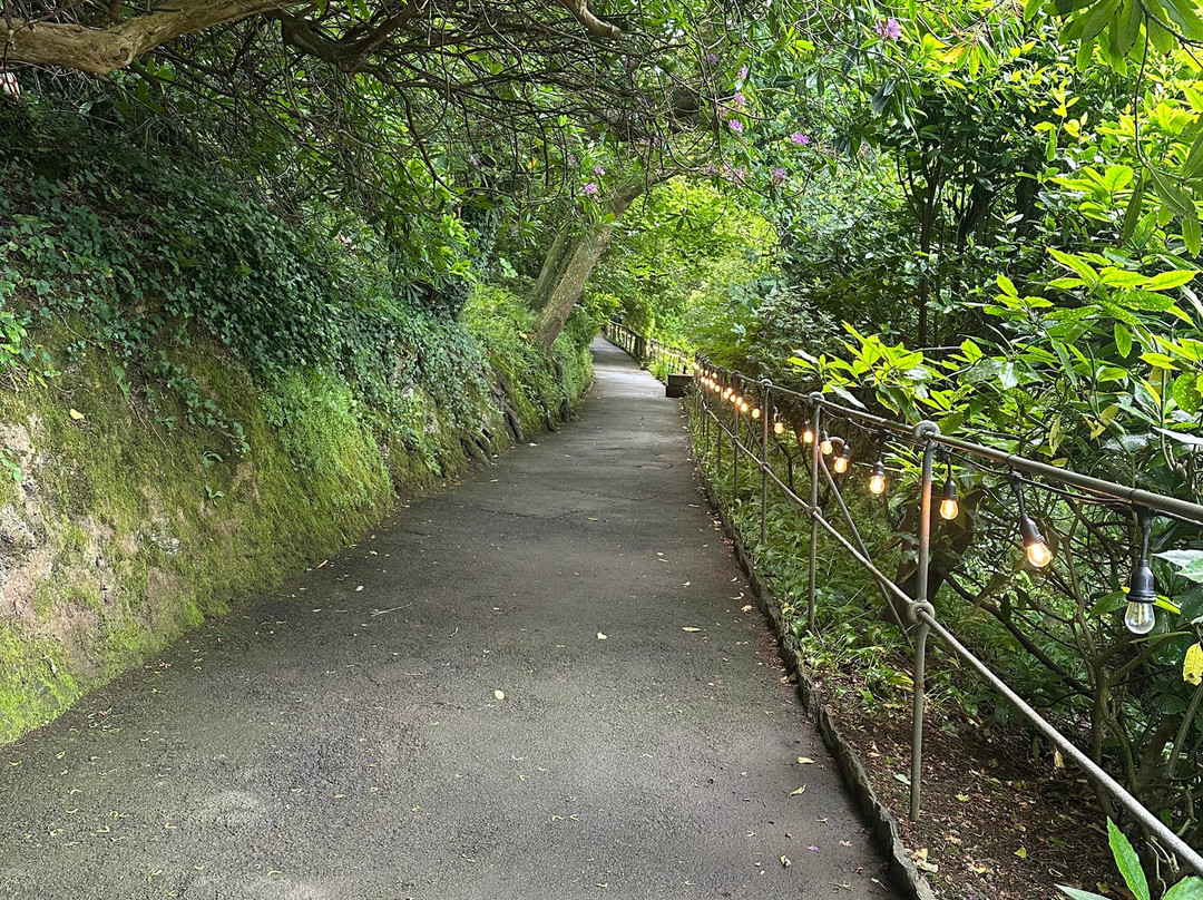 Watermouth Castle-伊尔弗勒科姆必去景点