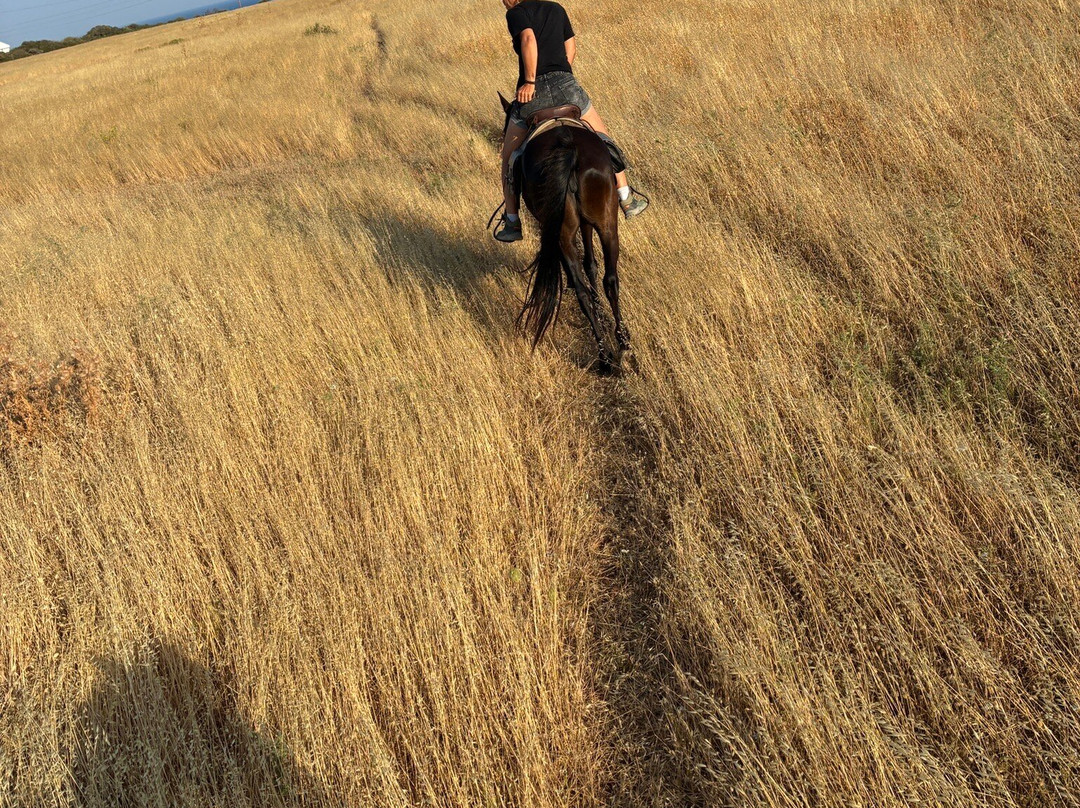 A&E Elpida Ranch-Lachania必去景点