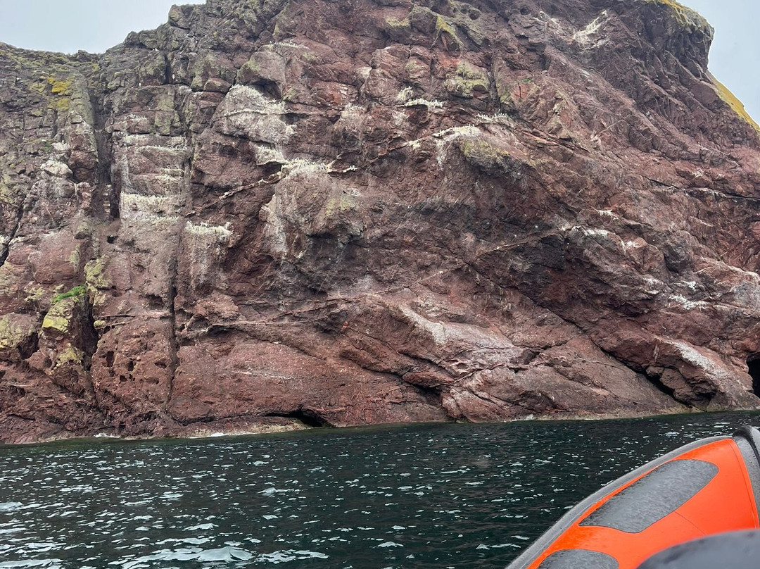 Eyemouth Rib Trips-Eyemouth必去景点