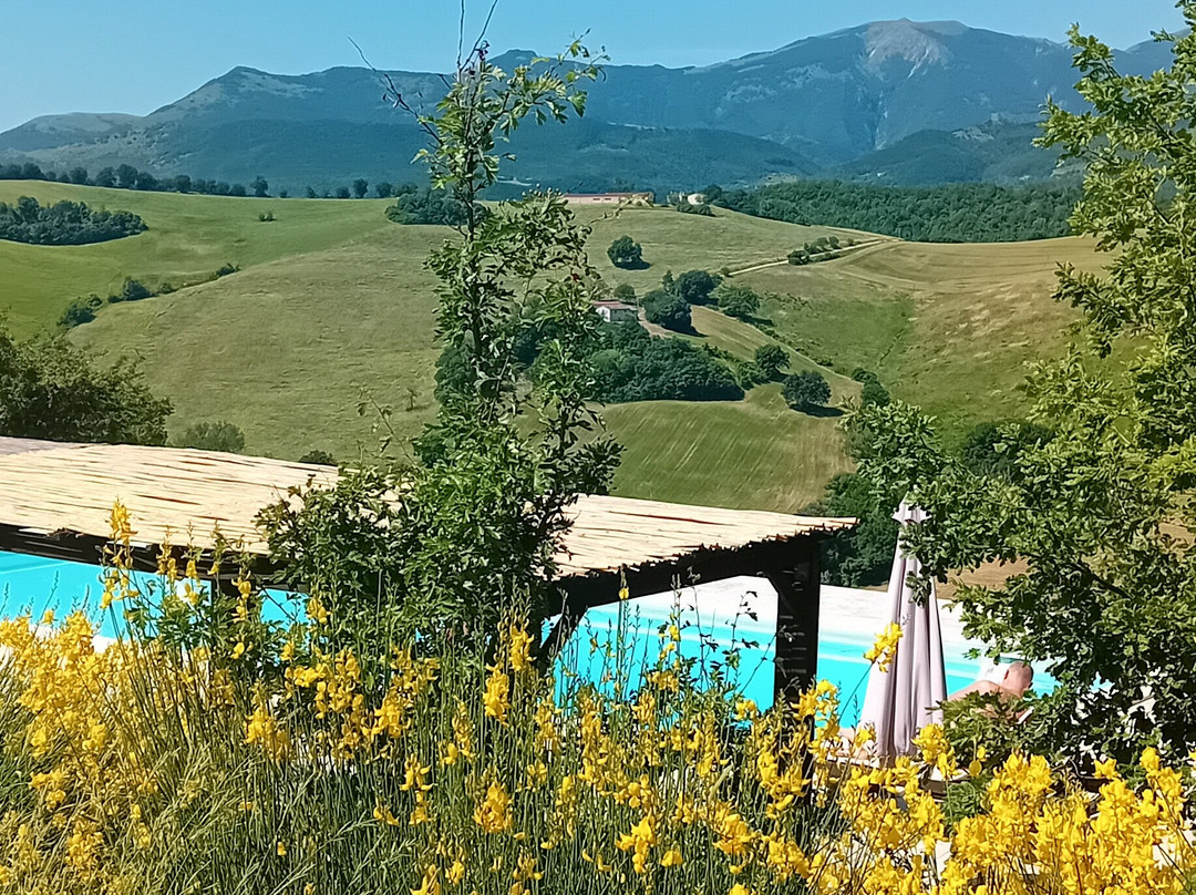 Agriturismo Ca Battista主图
