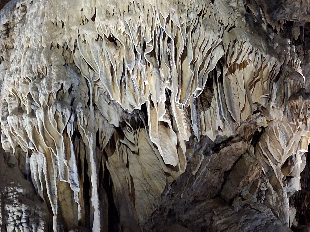 Domaine Des Grottes De Han-Han-sur-Lesse必去景点
