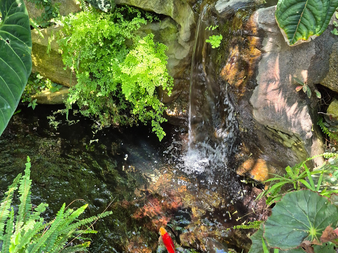 W.W. Seymour Botanical Conservatory-塔科马必去景点