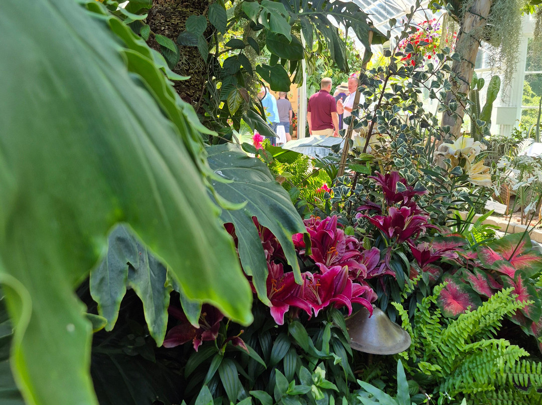 W.W. Seymour Botanical Conservatory-塔科马必去景点