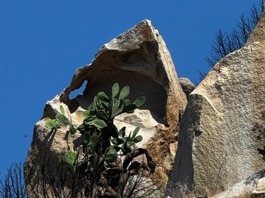 Spiaggia di Punta Molentis-维拉西谬斯必去景点