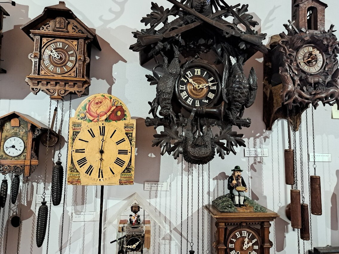 Black Forest Museum-特里贝格必去景点