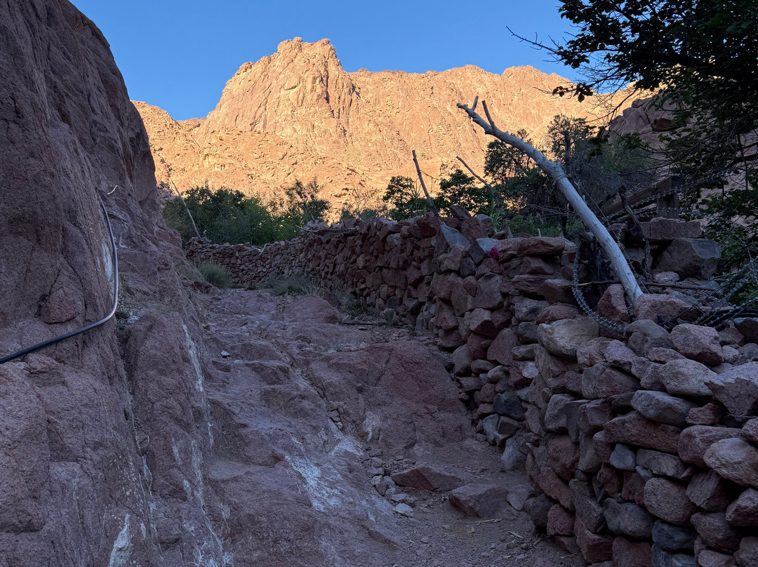 Sinai Hikes-圣卡特琳娜地区必去景点