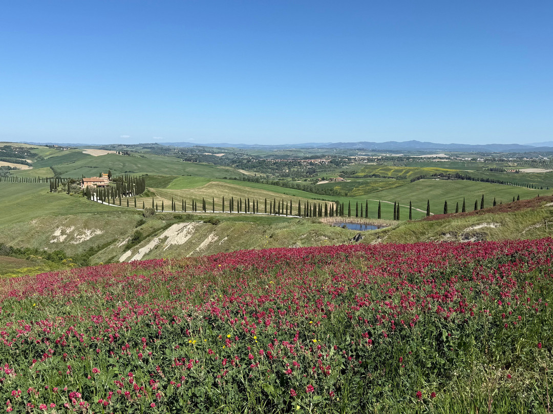 Gusto Cycling-Pieve a Nievole必去景点