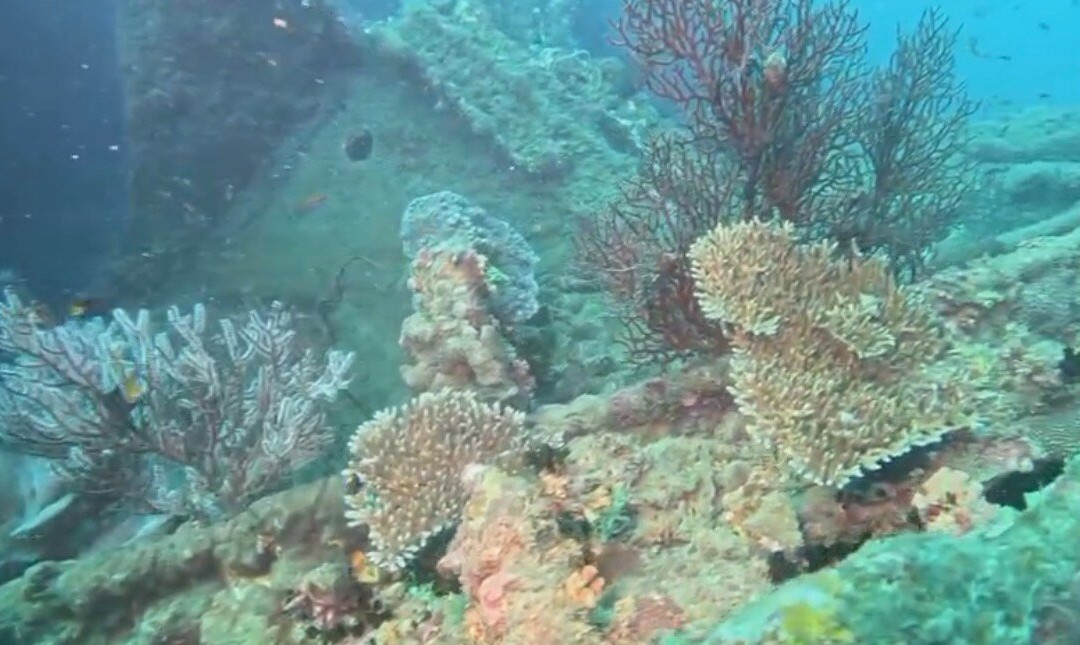 Scuba Addicts Dive Center Passikuda-卡尔库达必去景点