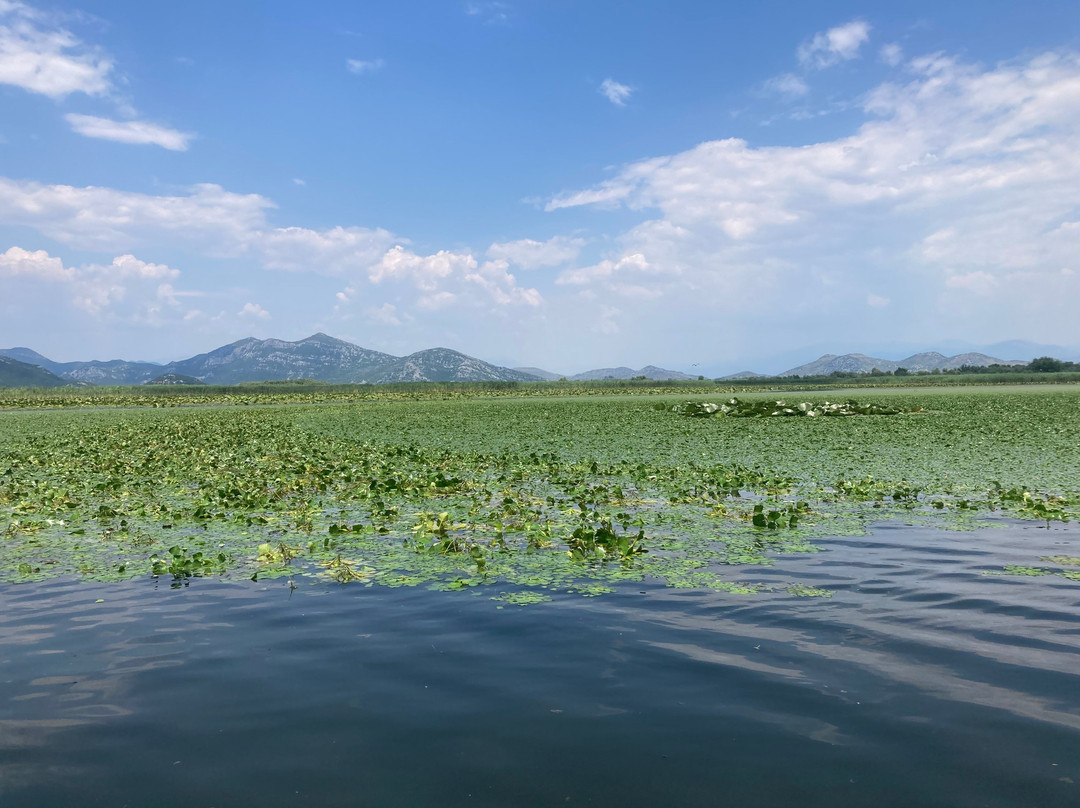 Monte Frog Boat Cruise-维尔巴札拉必去景点