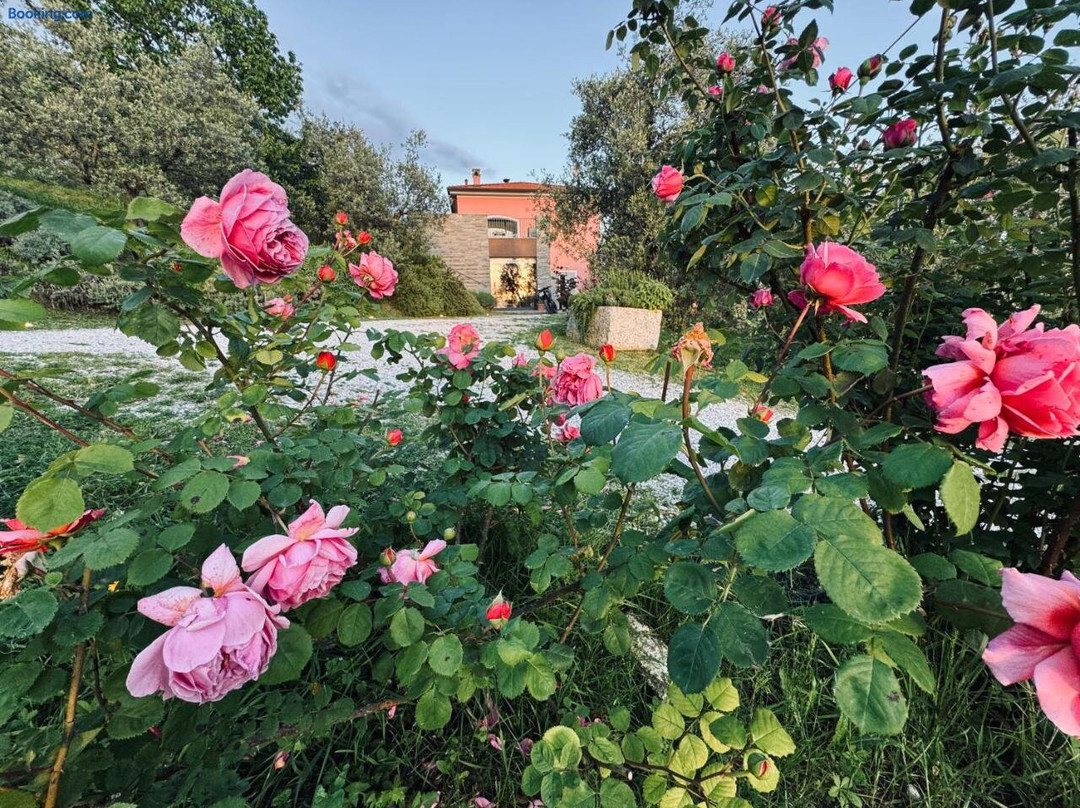 Agriturismo Belfiore