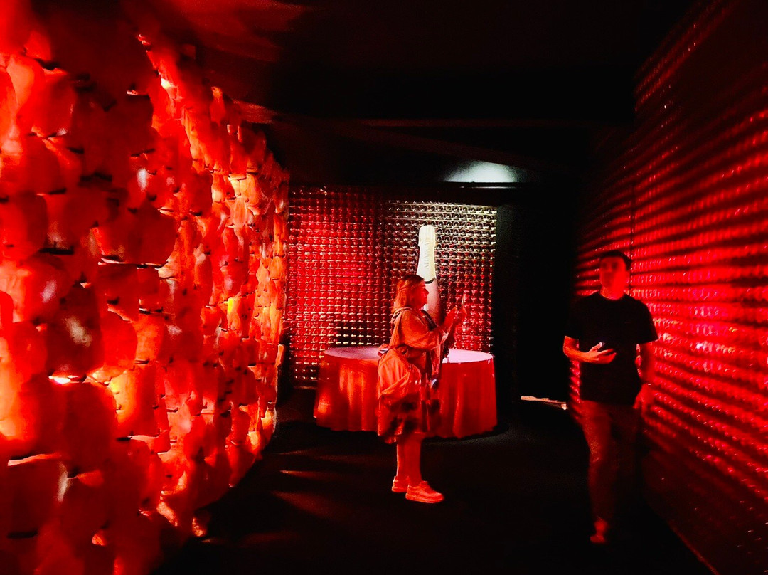 Aliança Underground Museum-桑戛荷斯必去景点