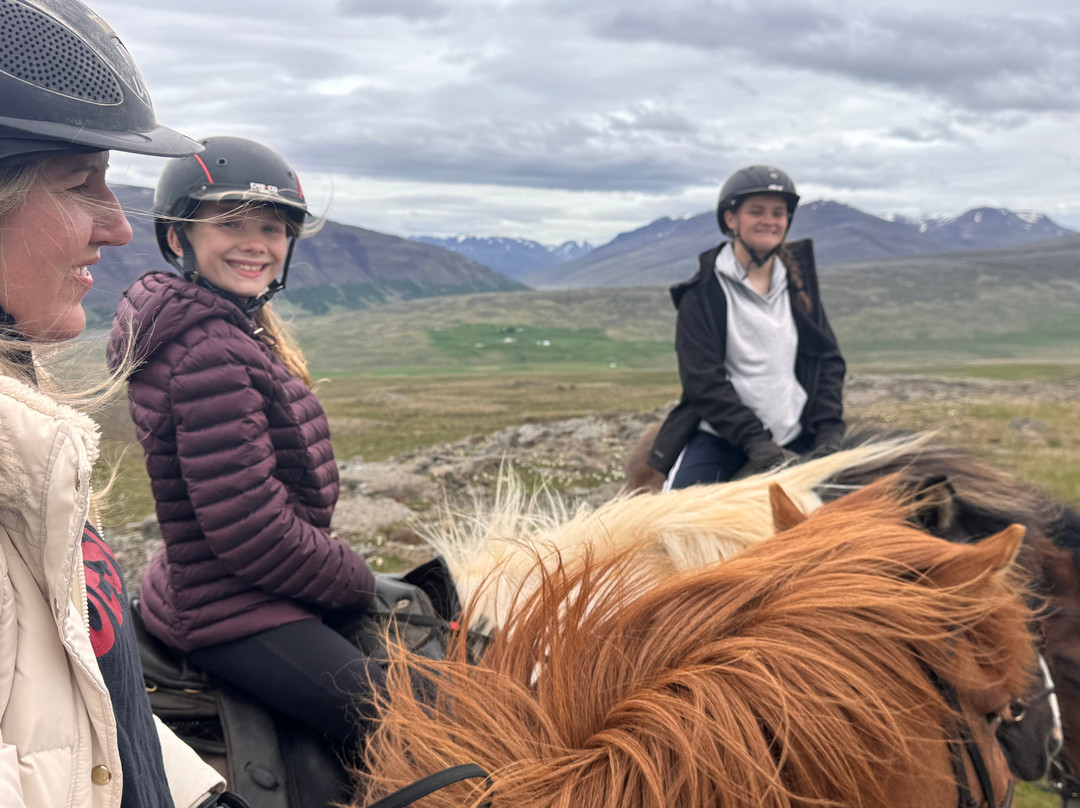 Lýtingsstadir Riding Tours-Varmahlid必去景点