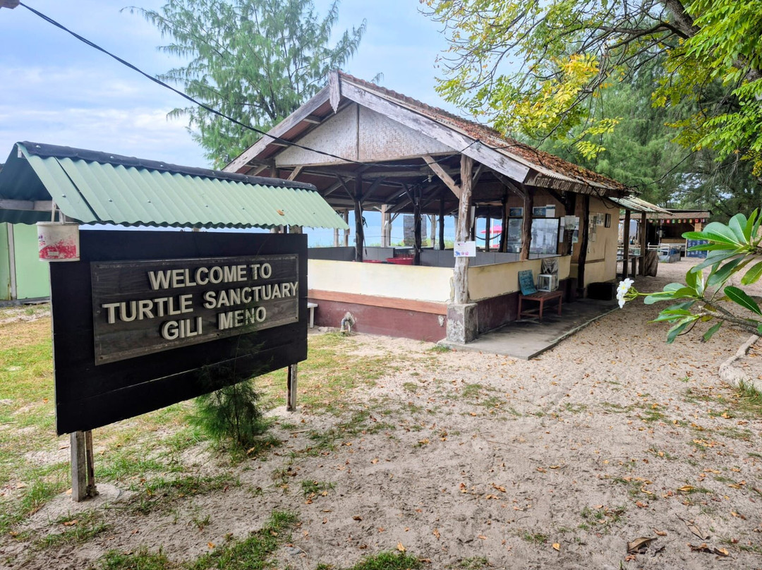 Gili Meno Turtle Sanctuary-Gili Meno必去景点