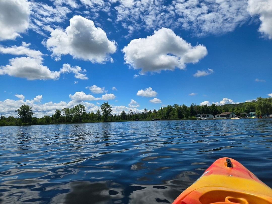 Outdoor Adventures by Paddles & Pedals-Bellaire必去景点