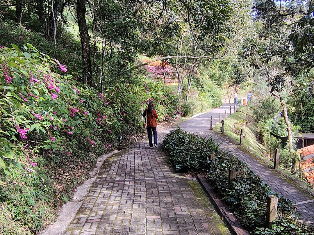 Amantikir Park-坎普斯－杜若尔当必去景点