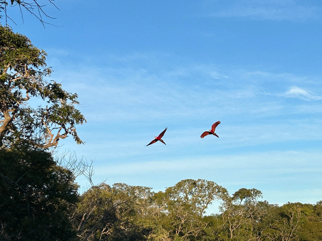 Buraco das Araras Ecoturismo-雅尔丁必去景点