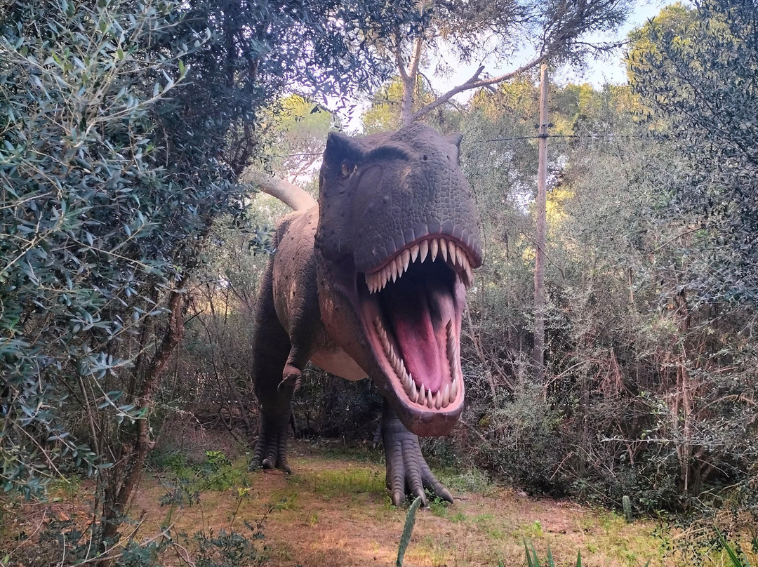 Dinosaurland-克里斯托港必去景点