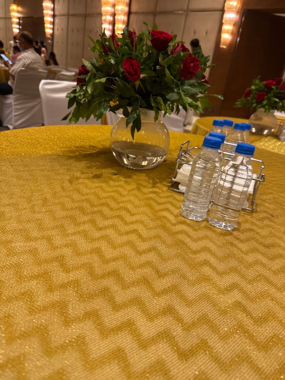 拉乌沙耶吉恩瑞斯酒店-旅行者