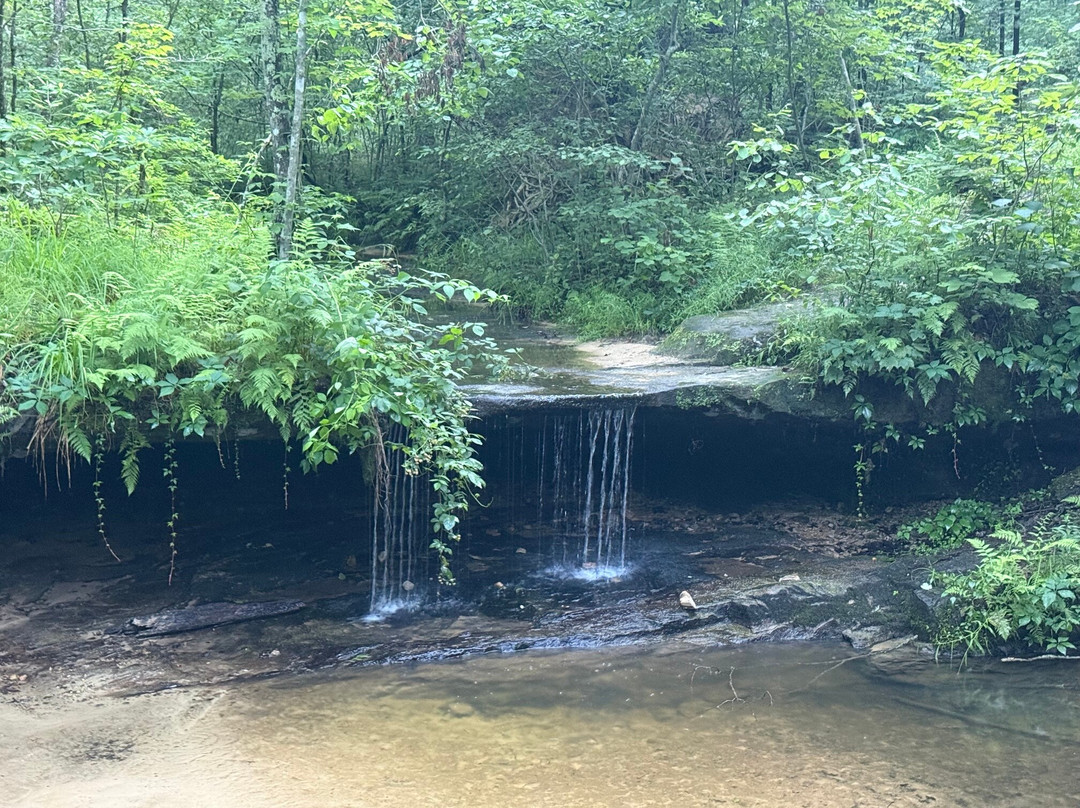 Pickle Springs Natural Area-Sainte Genevieve必去景点