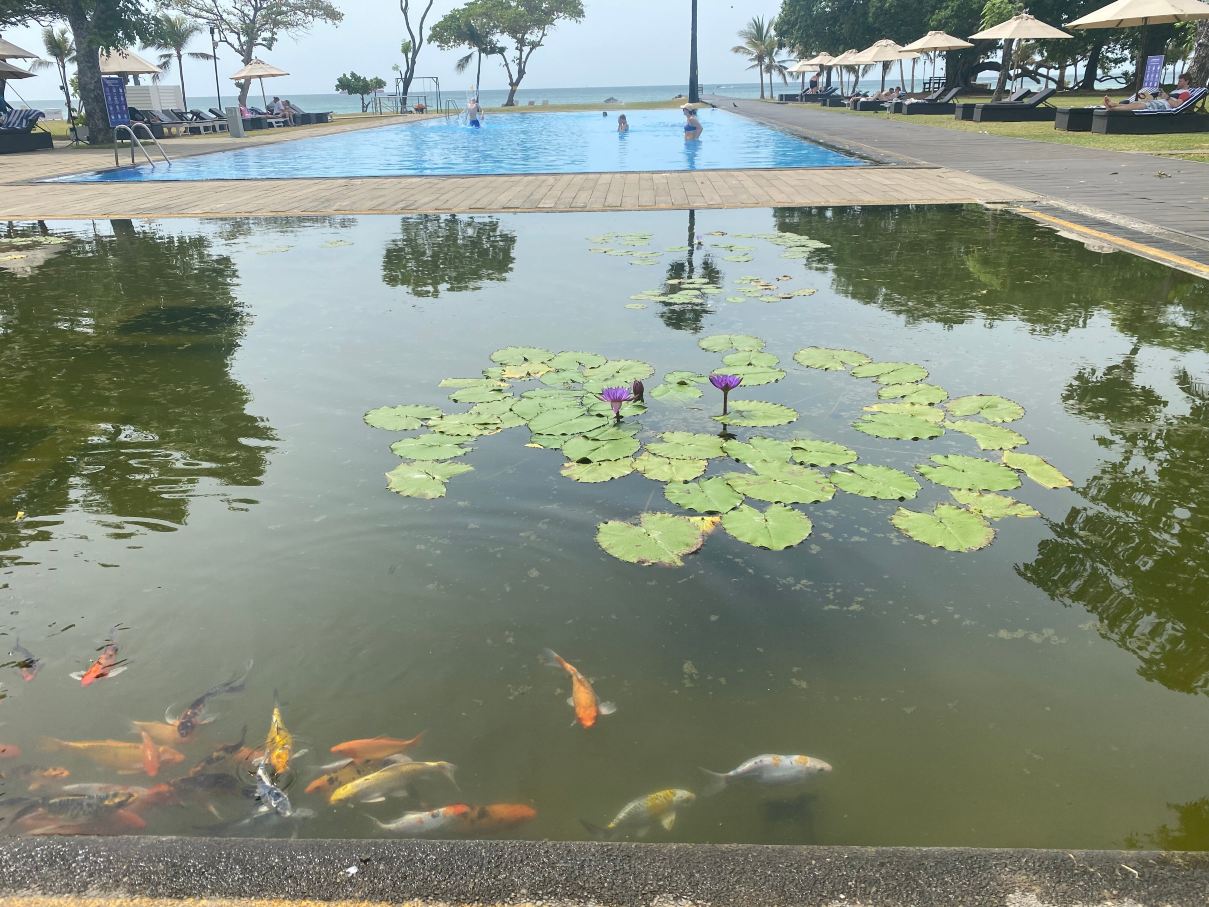 辛纳蒙亭可马里蓝湾酒店-泳池
