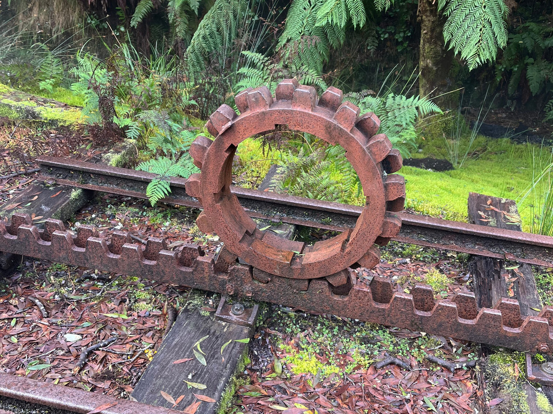 West Coast Wilderness Railway-皇后镇必去景点