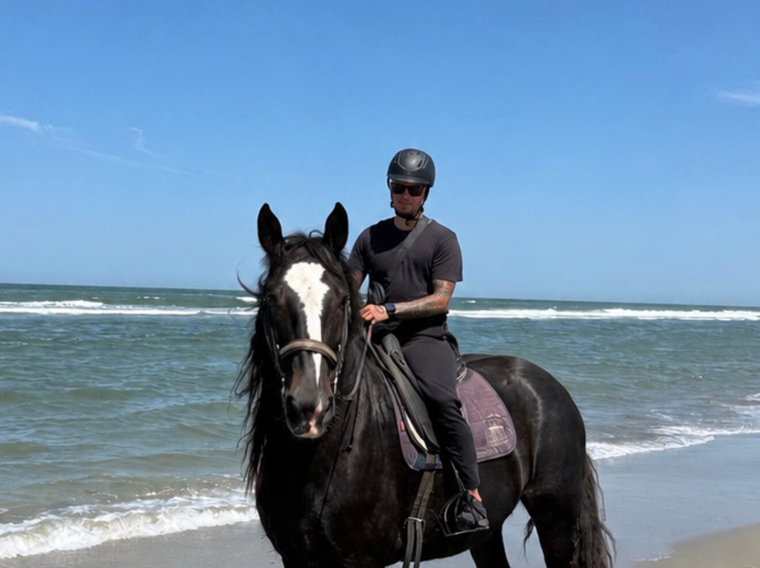 Puur Terschelling-Terschelling必去景点