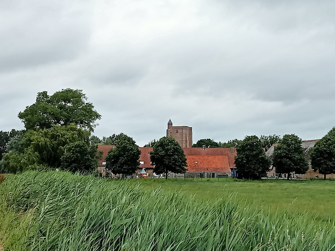 Hervormde Kerk Sint Anna Ter Muiden-斯勒伊斯必去景点