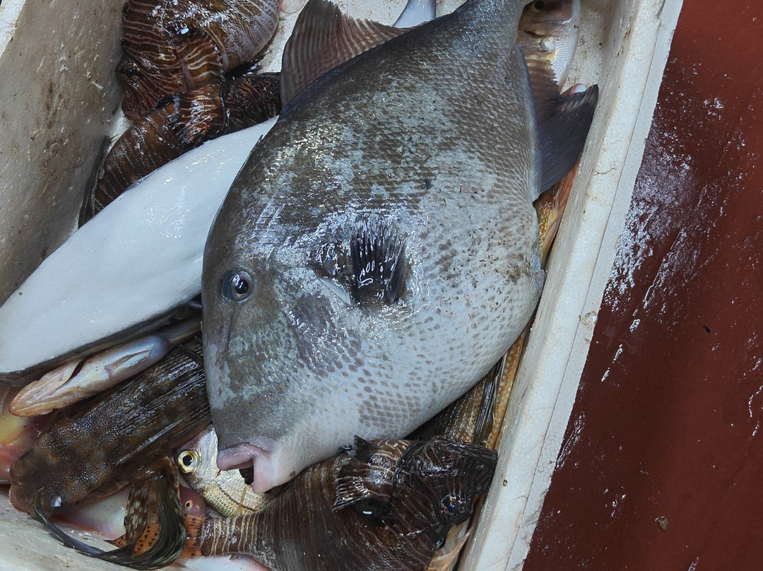 Agapi Traditional Fishing Trips-Limenas Chersonisou必去景点