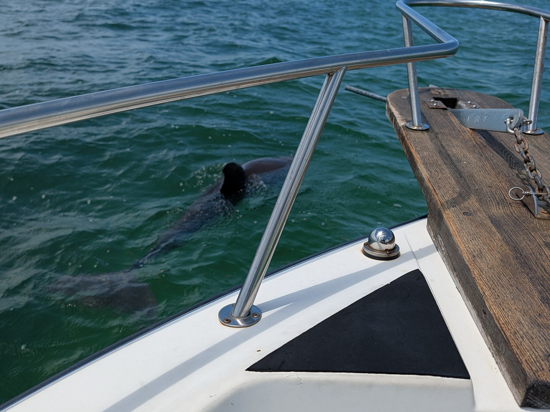 Xotic Island Charters-Cudjoe Key必去景点