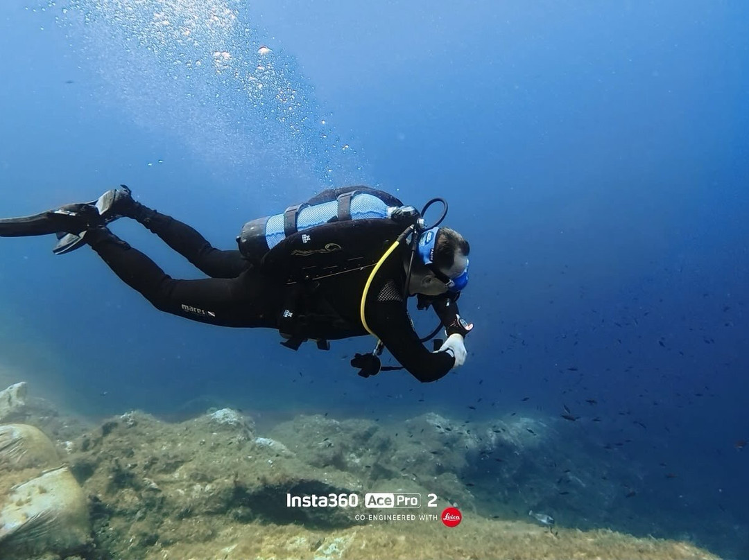 Bubbles Dive Centre-Marsalforn必去景点