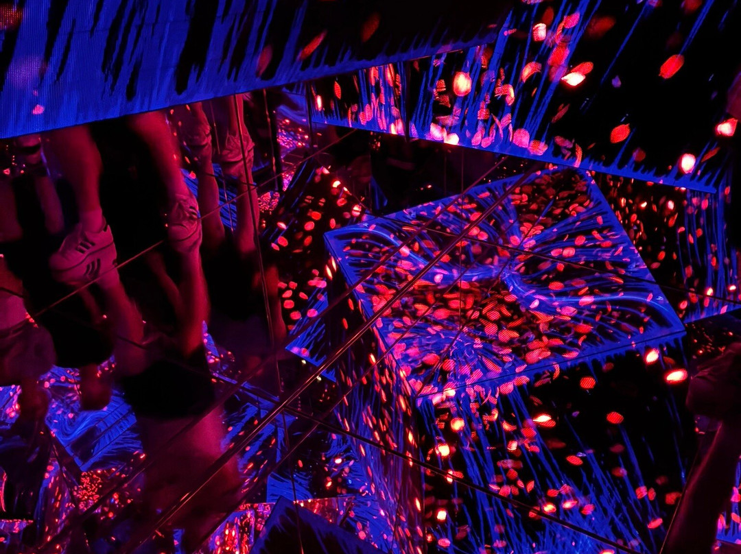 Teamlab Borderless Tokyo-港区必去景点
