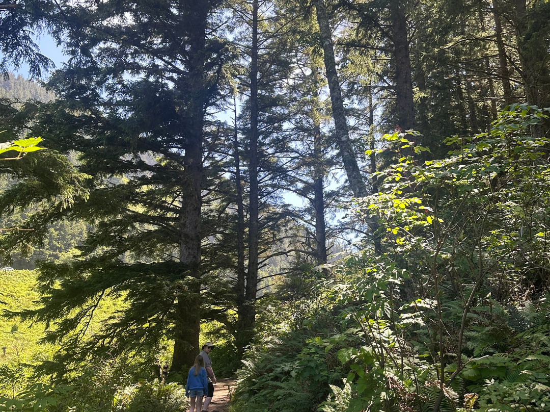 Oswald West State Park-坎农比奇必去景点
