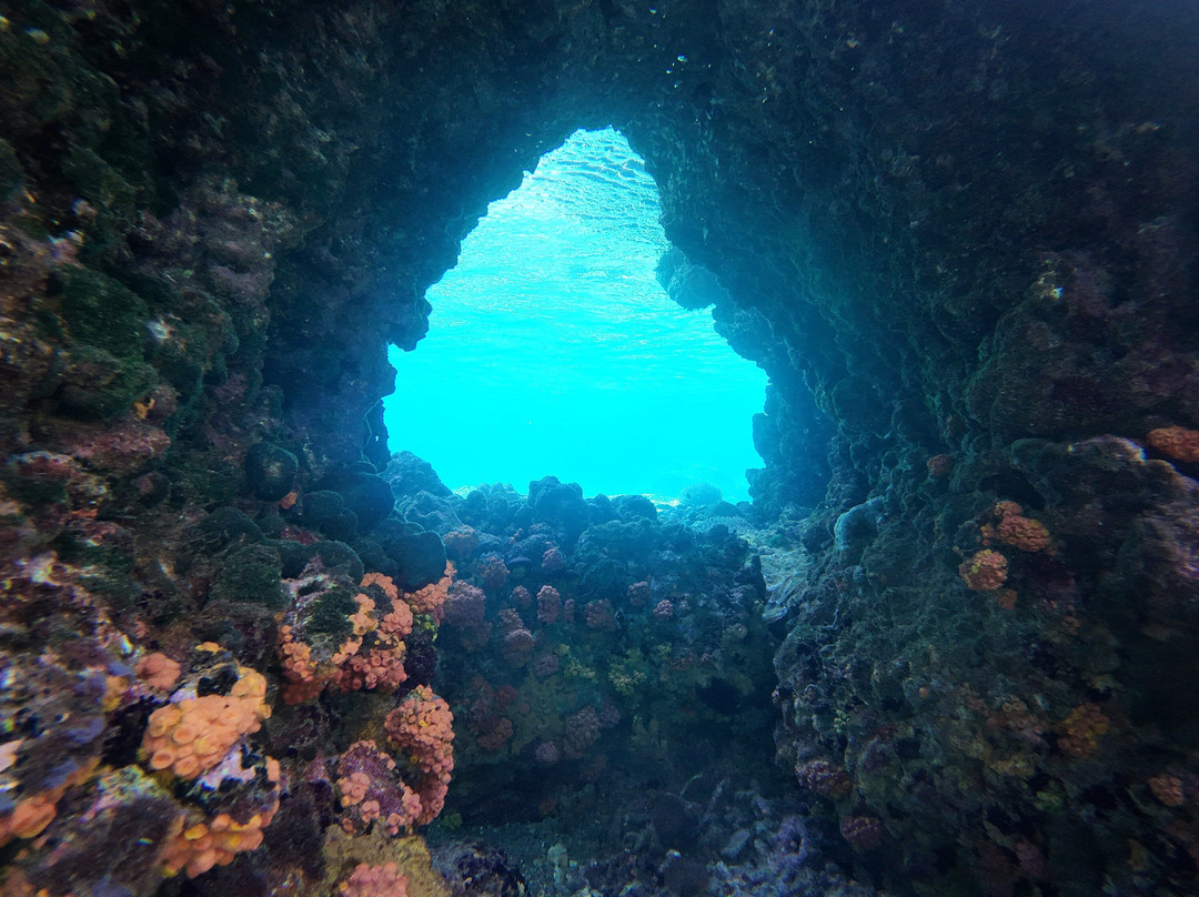 阿波岛海洋保护区-Apo Island必去景点