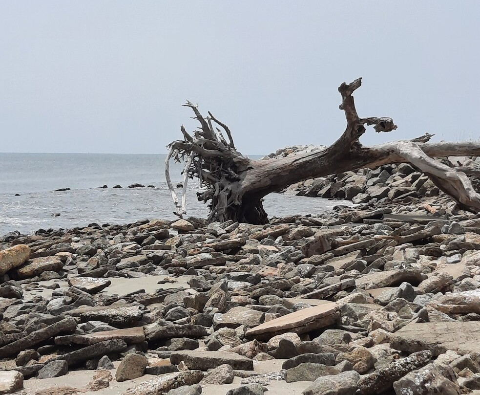Driftwood Beach-吉柯岛必去景点