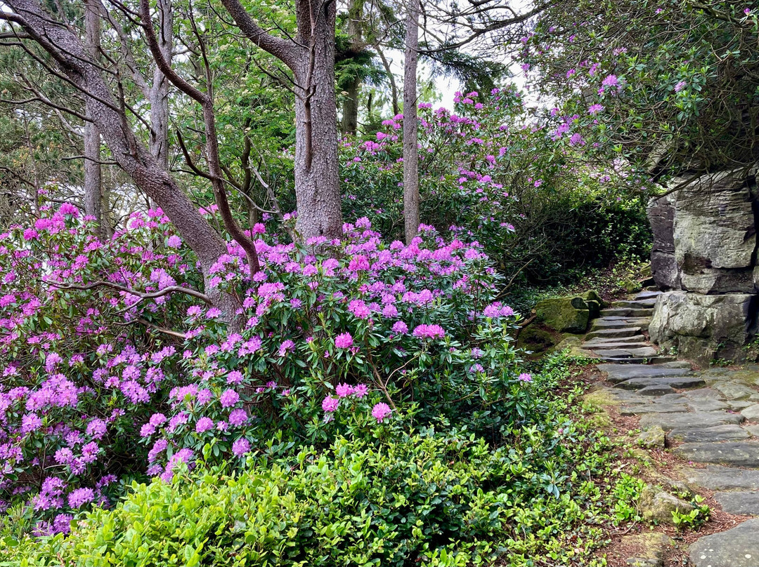 Cragside House and Gardens-Rothbury必去景点