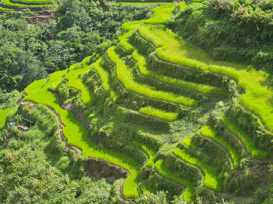 巴拿威梯田-Banaue必去景点