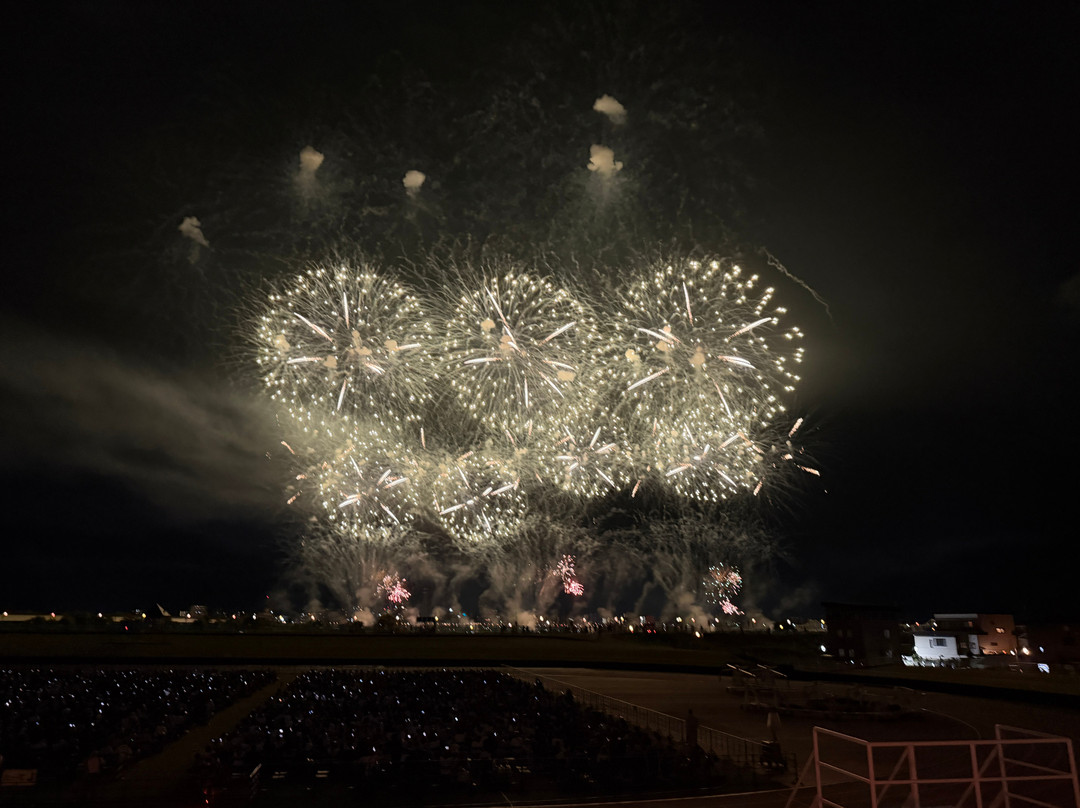 Nagaoka Festival Grand Fireworks-长冈市必去景点