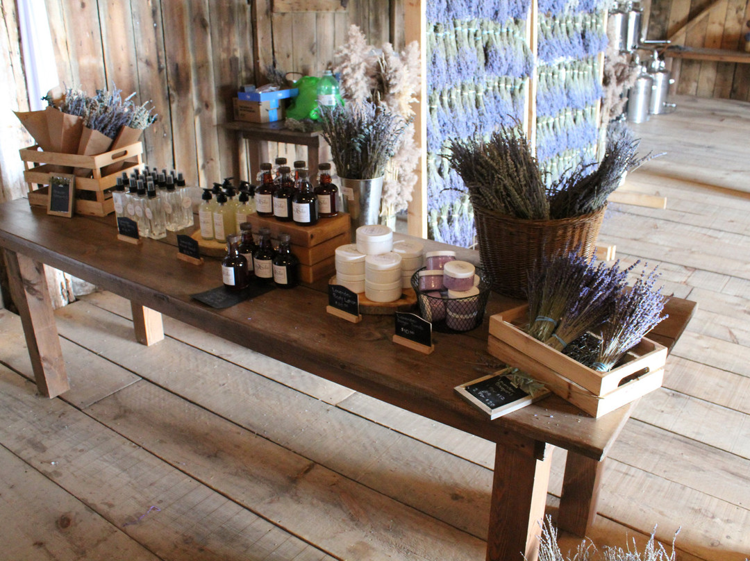 Gray Silo Lavender Farm-Port Perry必去景点