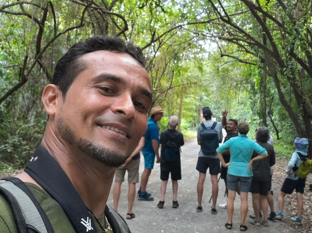 Osa Jungle Tours
