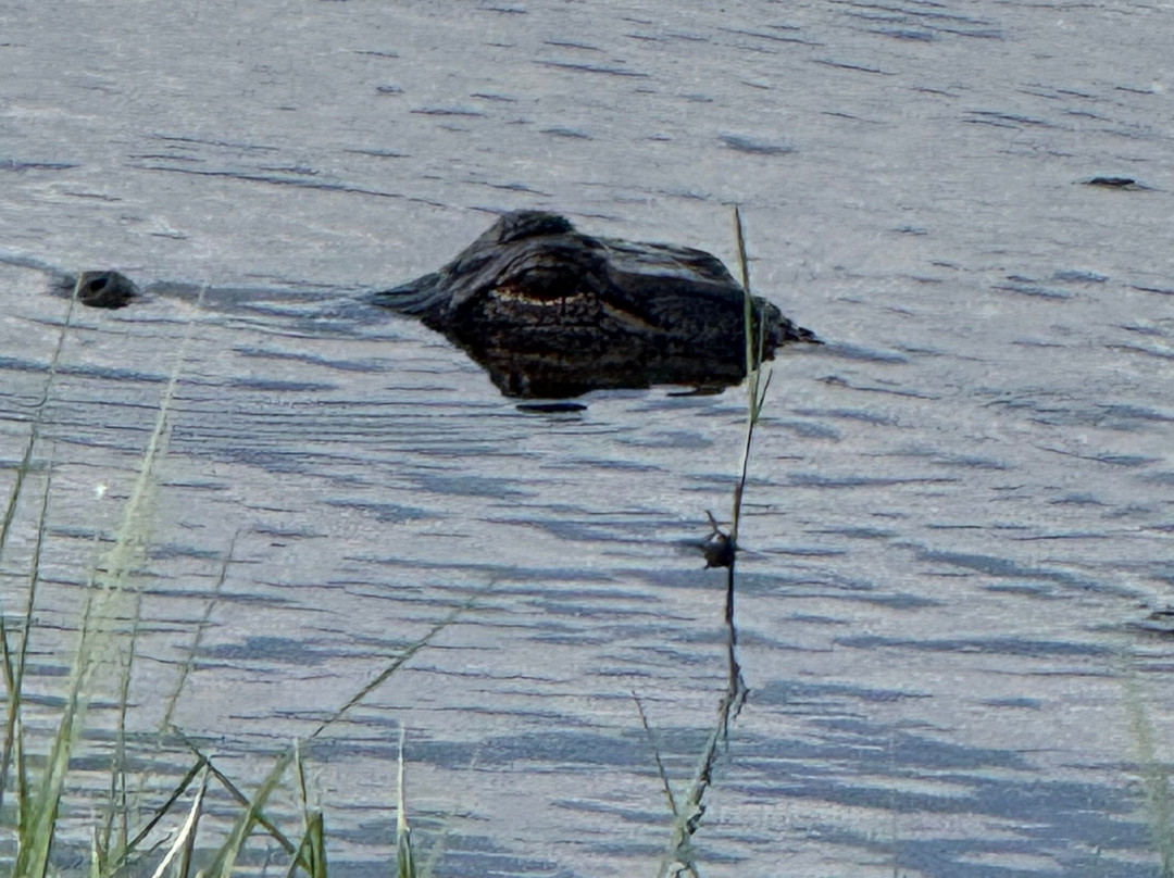 Brazoria National Wildlife Refuge-Freeport必去景点