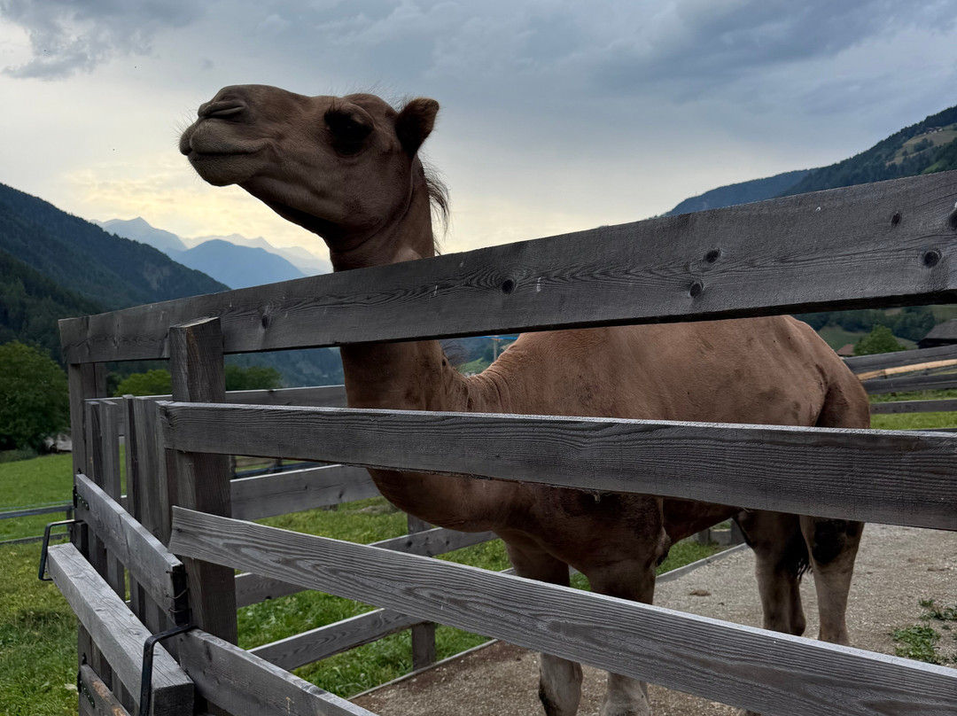 贝格斯劳斯酒店主图