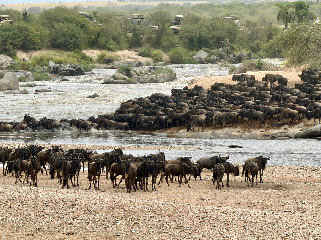 African Scenic Safaris-莫西必去景点