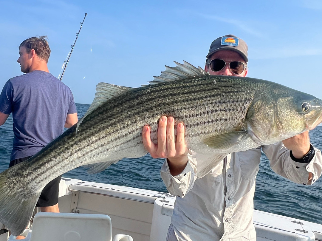 Cape Cod Bay Charters-Barnstable必去景点
