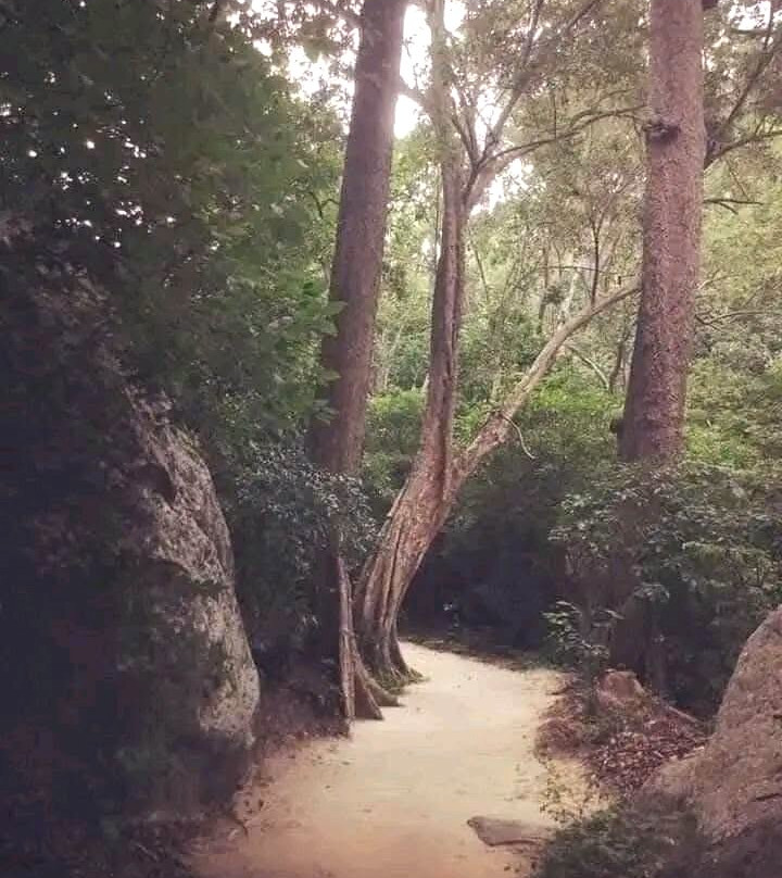 Kudumbigala Monastery-阿鲁甘湾必去景点