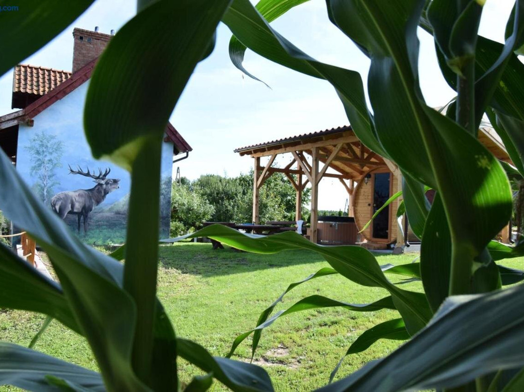 Agroturystyka u Ani