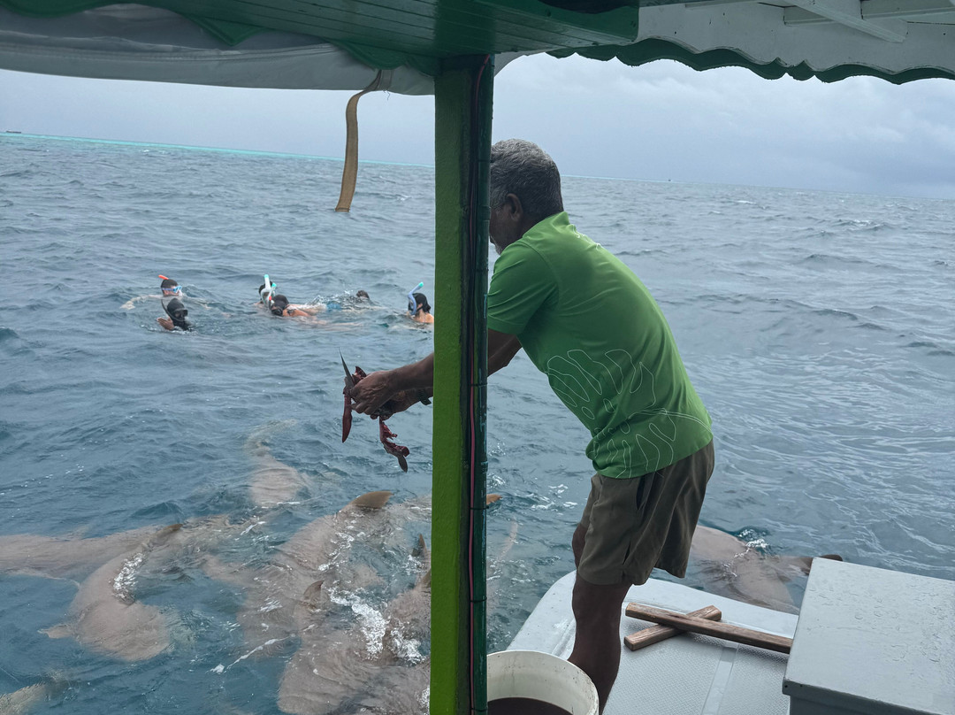 Boaveli Maldives Guesthouse主图