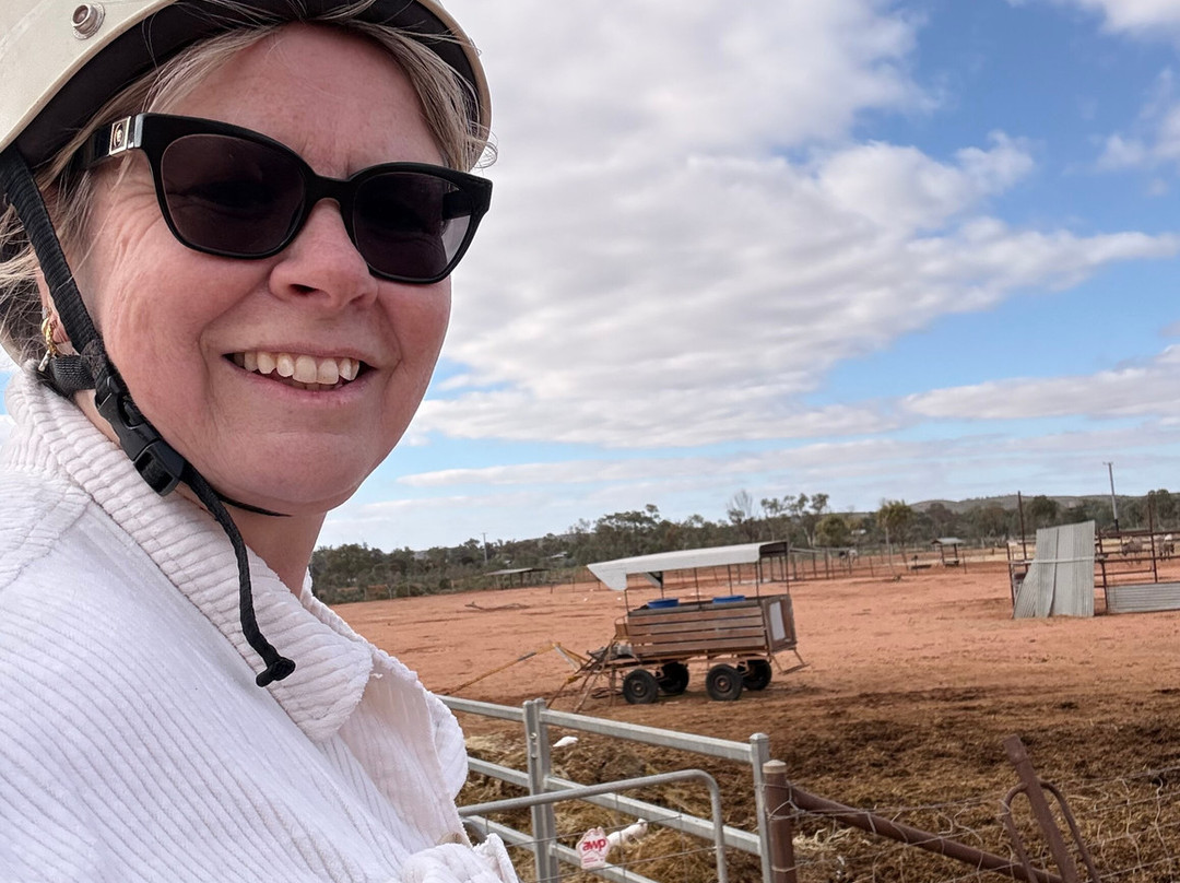 Silverton Outback Camels-Silverton必去景点